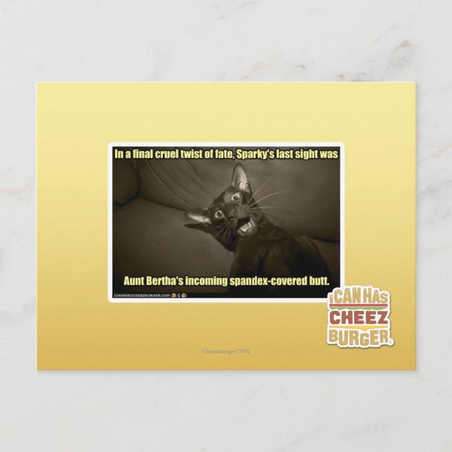 Sparky's last sight postcard (Front)