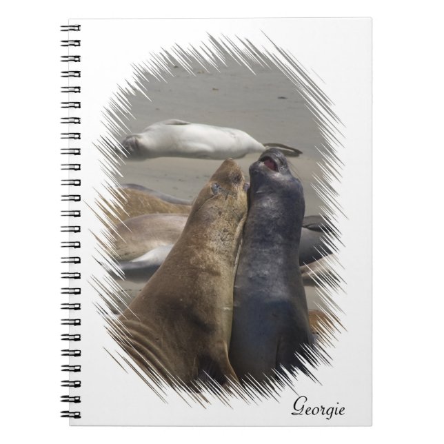 Sparring Elephant Seals Notebook (Front)