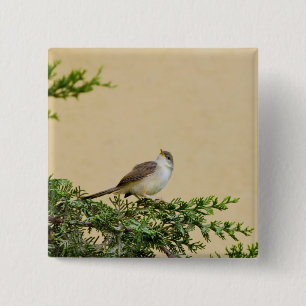 Sparrow 15 Cm Square Badge