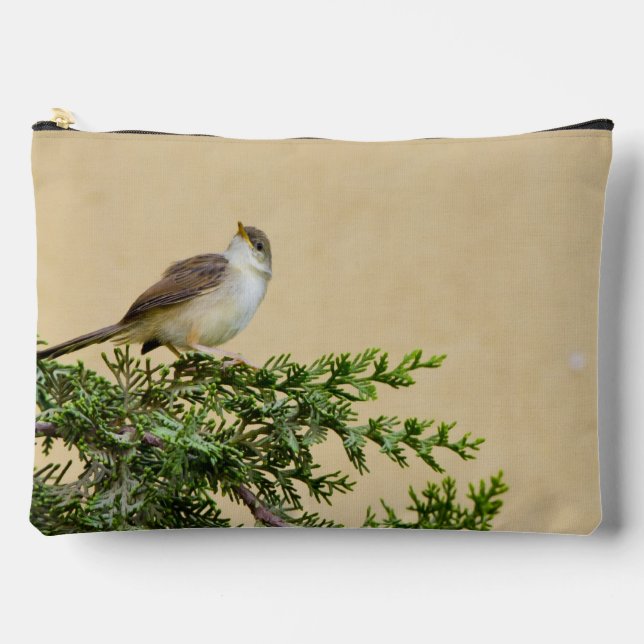 Sparrow Accessory Pouch (Front)