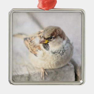 Sparrow - After The Transatlantic Metal Tree Decoration