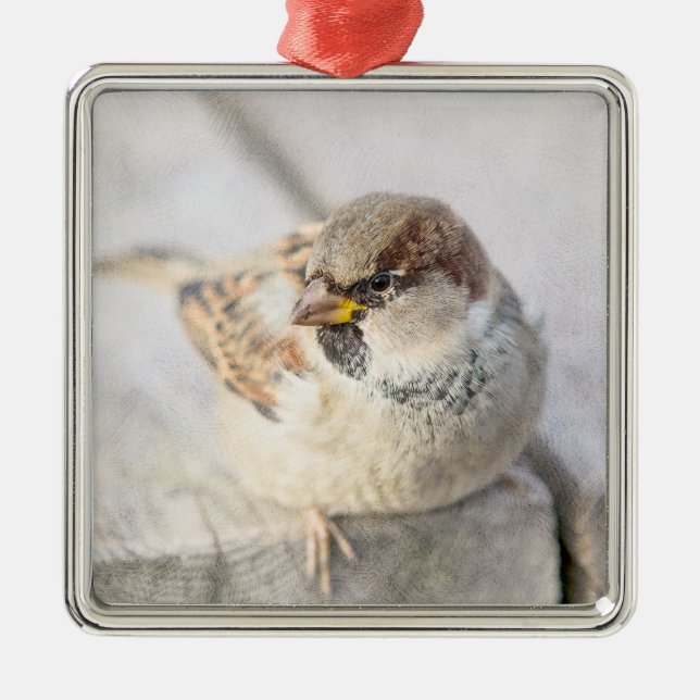 Sparrow - After The Transatlantic Metal Tree Decoration (Front)