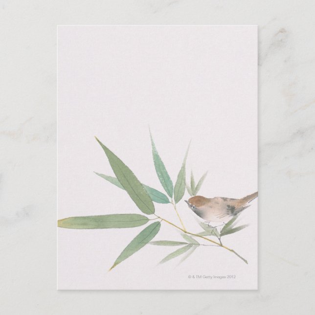 Sparrow and Bamboo Postcard (Front)