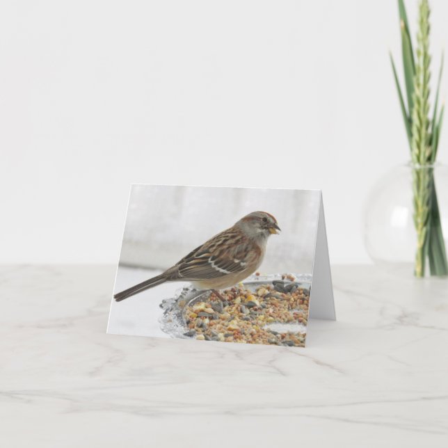 Sparrow and Silver Platter - Blank Card (Front)