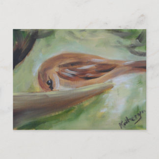 Sparrow at Feeder Postcard