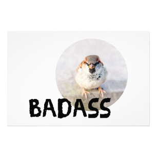 Sparrow - Badass Photo Print