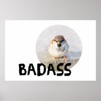 Sparrow - Badass