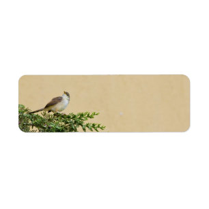 Sparrow Bird Artwork