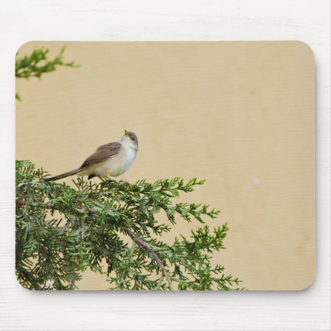 Sparrow Bird Artwork Mouse Pad (Front)