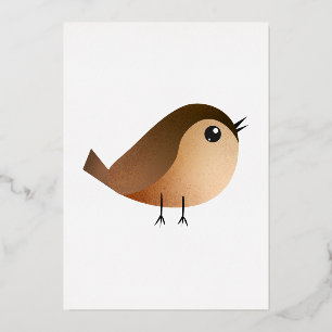 Sparrow Bird Cartoon
