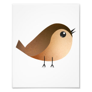 Sparrow Bird Cartoon  Photo Print