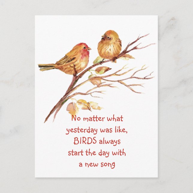 Sparrow Bird Inspirational Encouraging Quote   Postcard (Front)