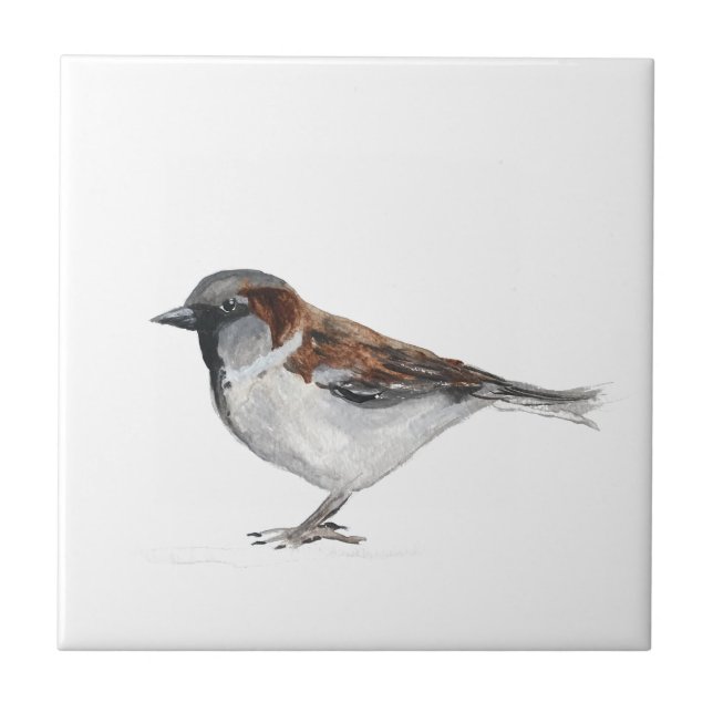 Sparrow Bird Wildlife Watercolor Nature Cute Tile (Front)