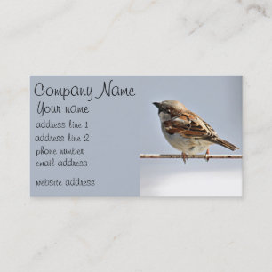 Sparrow Business Card