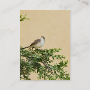 Sparrow Business Card