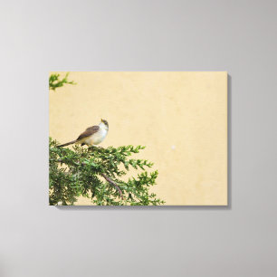 Sparrow Canvas Print
