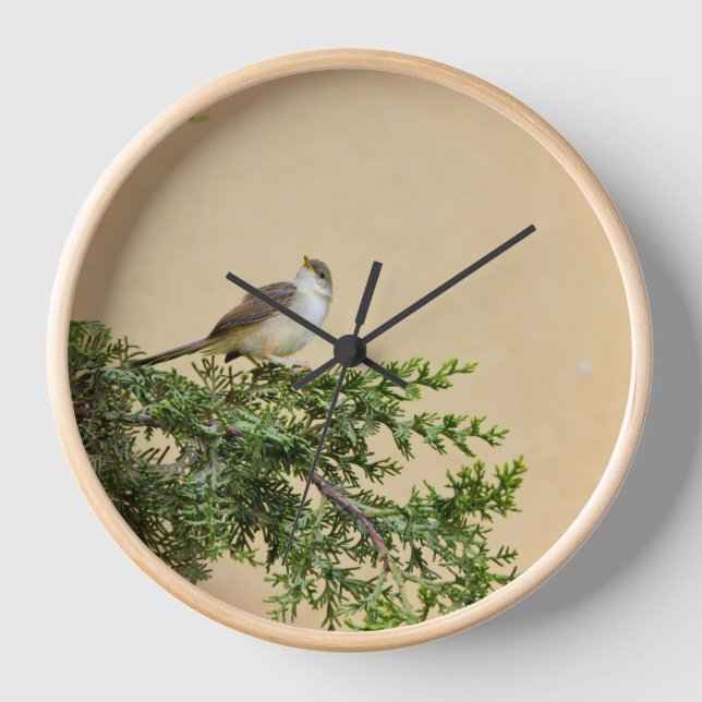 Sparrow  clock (Front)