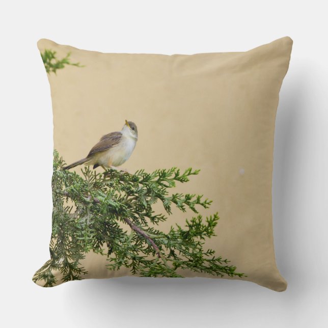 Sparrow  cushion (Front)