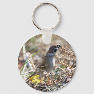 Sparrow eating wild seeds key ring
