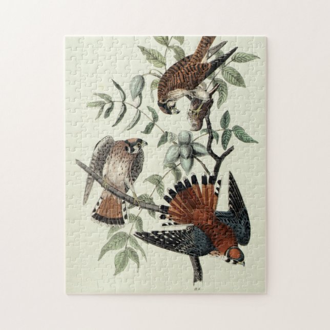 Sparrow hawks jigsaw puzzle (Vertical)