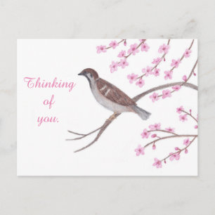 Sparrow in Cherry Blossom Tree Thinking Postcards
