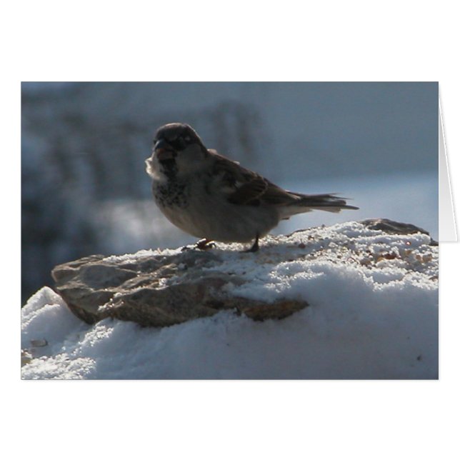 Sparrow in the Snow (Front Horizontal)