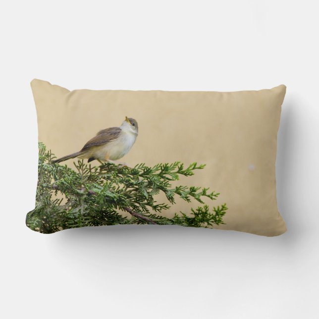 Sparrow  lumbar cushion (Front)