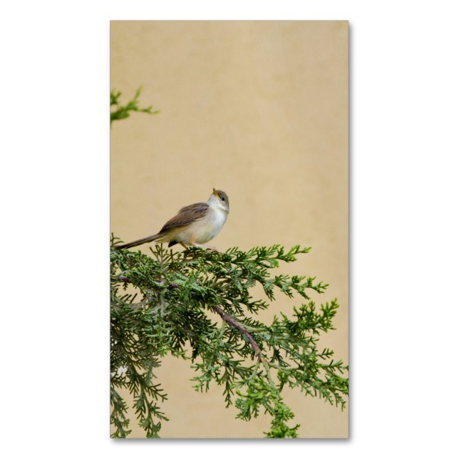 Sparrow  magnetic business card (Front Vertical)
