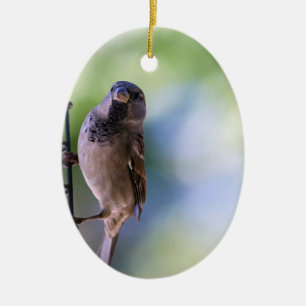 Sparrow Moment for Me Ceramic Tree Decoration