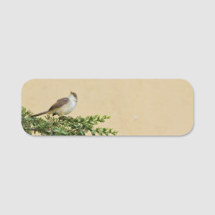Sparrow  name tag
