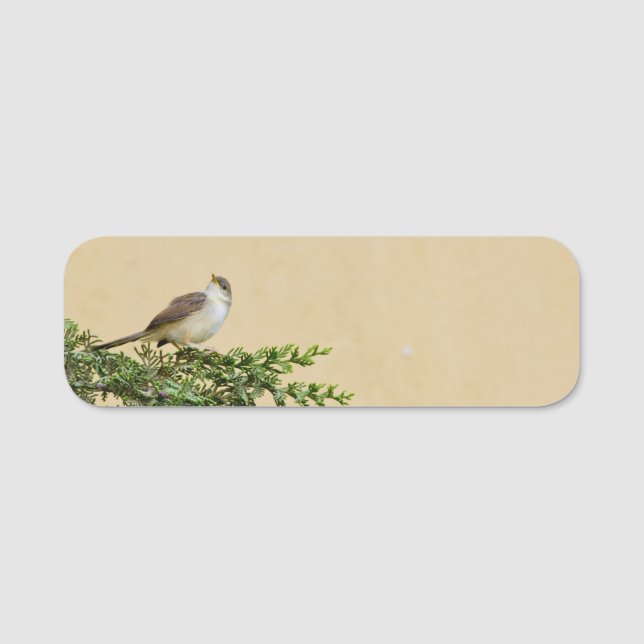 Sparrow  name tag (Front)