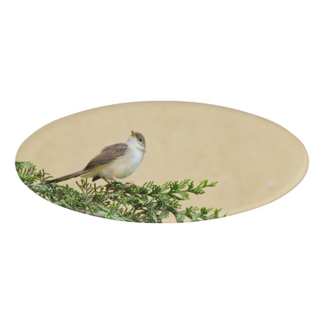Sparrow  name tag (Front)