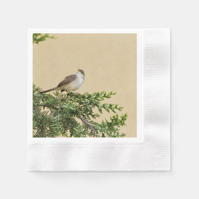 Sparrow  napkin (Front)
