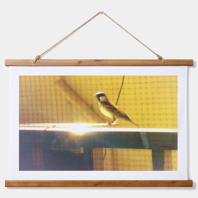 Sparrow Nature Wall Tapestry |Modern Wildlife Wall (Front)