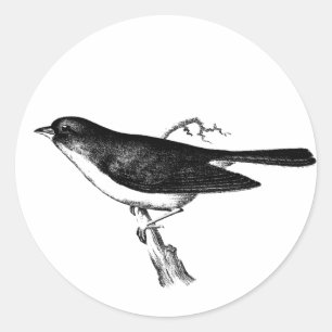 SPARROW ON A BRANCH CLASSIC ROUND STICKER