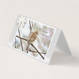 Sparrow on a Branch - Merry Christmas