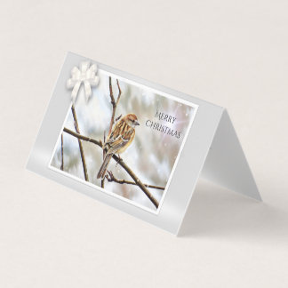 Sparrow on a Branch - Merry Christmas