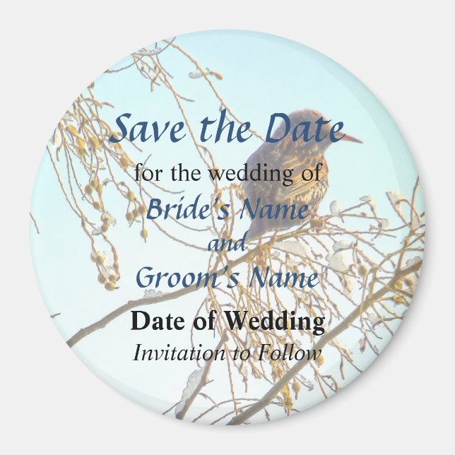 Sparrow on a Winter Branch Save the Date Magnet (Front)