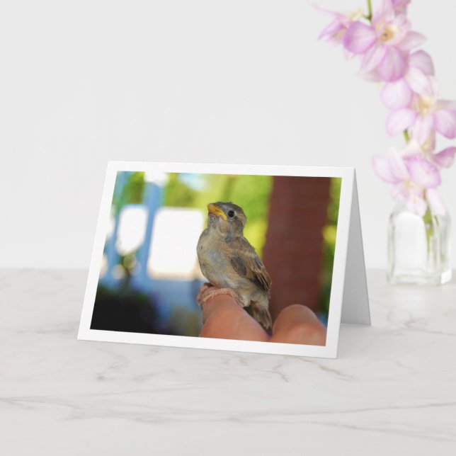 Sparrow on Finger Card (Orchid)