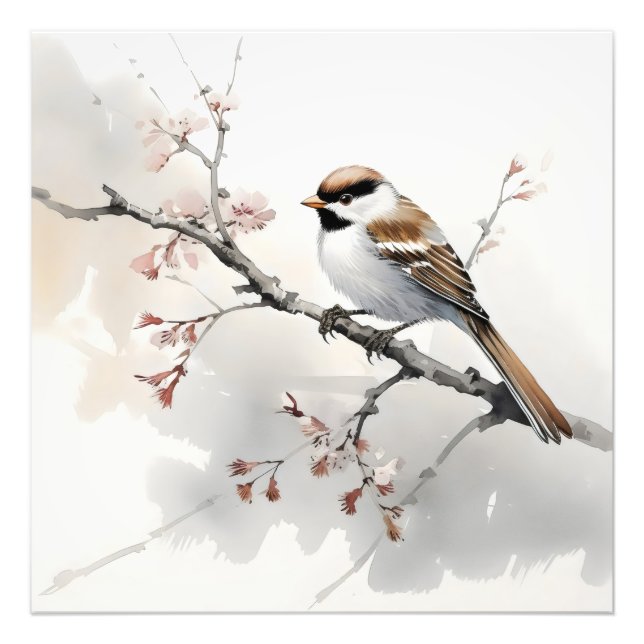 Sparrow on Spring Branch Photo Print (Front)