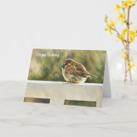 Sparrow on the Rail - Birthday Card