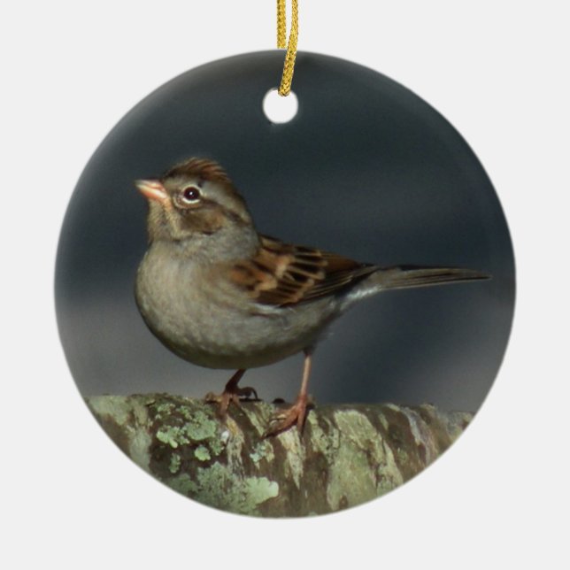 Sparrow Ornament (Front)