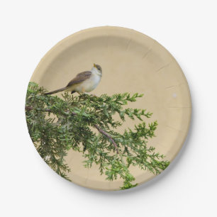 Sparrow paper plate