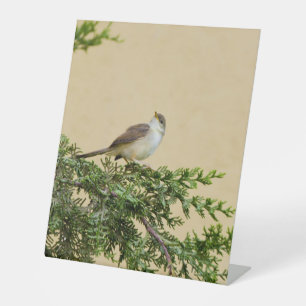 Sparrow pedestal sign