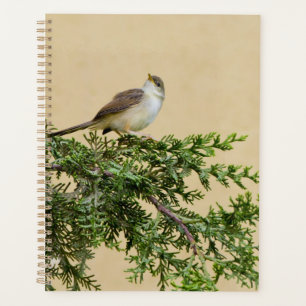 Sparrow planner