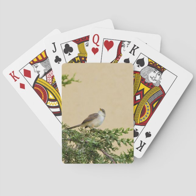 Sparrow  playing cards (Back)