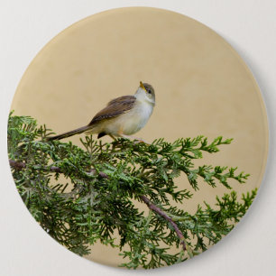 Sparrow Postcard 6 Cm Round Badge