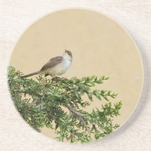 Sparrow Postcard Coaster