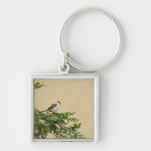 Sparrow Postcard Key Ring