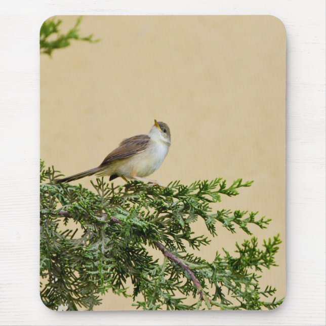 Sparrow Postcard Mouse Pad (Front)